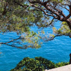 Monaco City